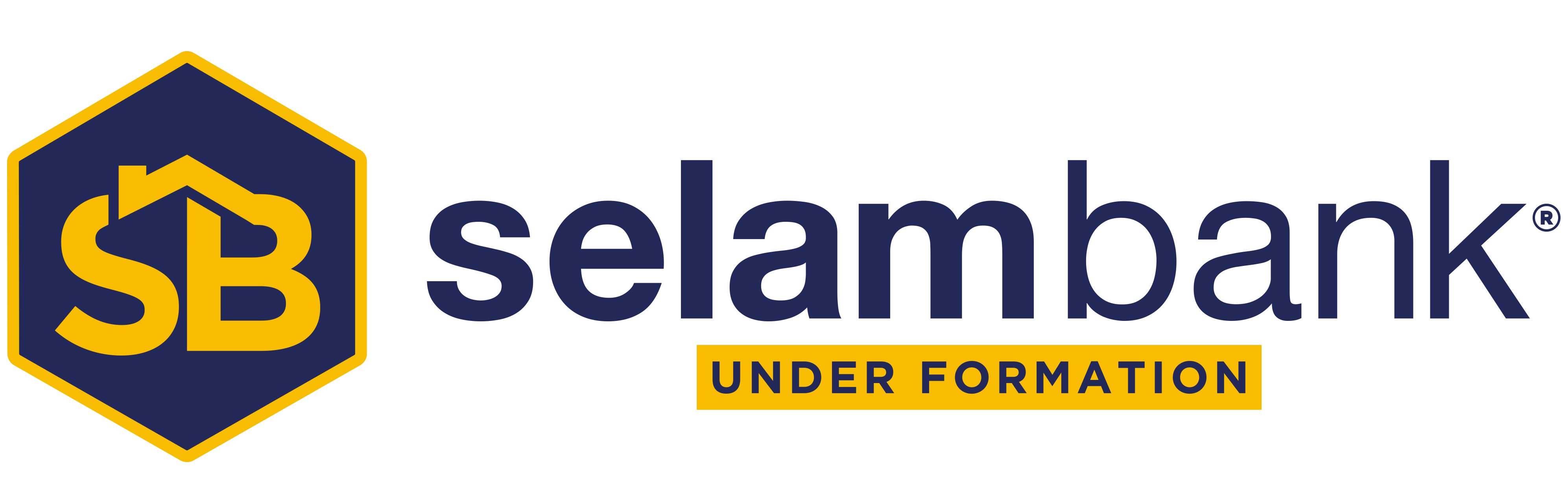 selam_bank_logo
